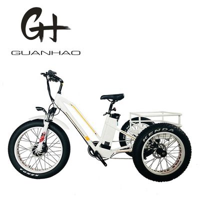 Open lichaam Type 24 inch 20 inch BAFANG Front Motor Elektrische driewieler voor volwassenen 48V21AH 750W