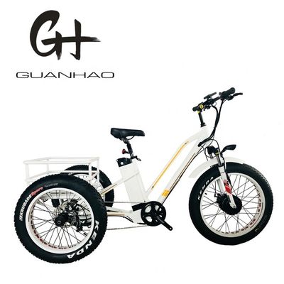 48V21AH accu CE USA markt 750W 8FUN voormotor 24-20 inch 3 wielen vetband elektrische riksja
