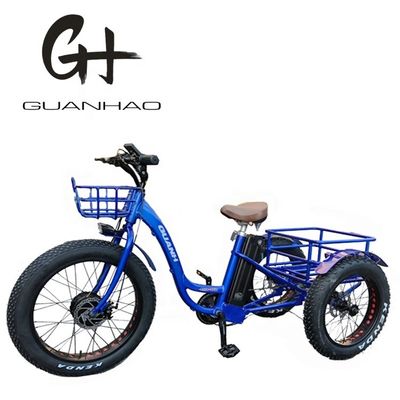 Open lichaam Type 24 inch 20 inch BAFANG Front Motor Elektrische driewieler voor volwassenen 48V21AH 750W