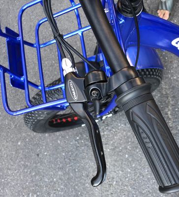 Rijden Type Electric 24&quot;x4.0 Fat Tire Electric Cargo Tricycle met 48V 1000w motor