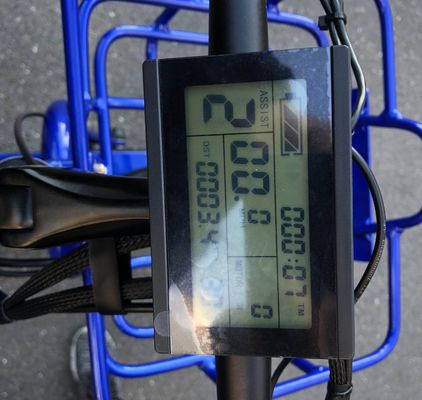 Rijden Type Electric 24&quot;x4.0 Fat Tire Electric Cargo Tricycle met 48V 1000w motor