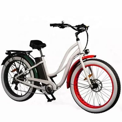 26&quot; Women Frame 17AH Lithiumbatterij 1000W Electric Cargo 48V Elektrische stadsfiets