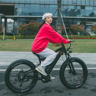 750W Bafang Motor Electric Mountain Bike met Shimanu 7 Speed Gear en C 3.0 banden
