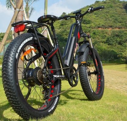 750W 50KM/H A2B CE Chinese OEM 48V Motor Fat Tire Elektrische bergfiets Goed Leuk