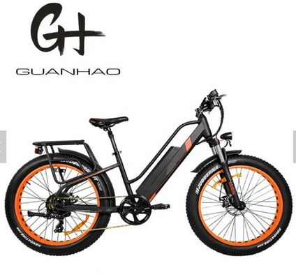 750W 50KM/H A2B CE Chinese OEM 48V Motor Fat Tire Elektrische bergfiets Goed Leuk