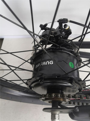 24&quot; Long Frame Electric Beach Cruiser Bike met 48V borstelloze motor en 3,0 fat banden