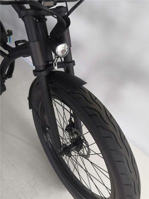 24&quot; Long Frame Electric Beach Cruiser Bike met 48V borstelloze motor en 3,0 fat banden