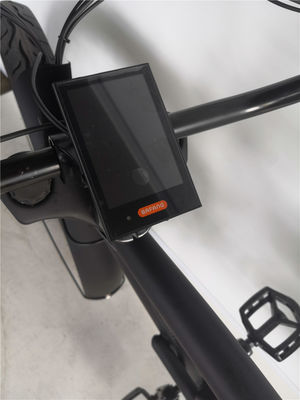 24&quot; Long Frame Electric Beach Cruiser Bike met 48V borstelloze motor en 3,0 fat banden