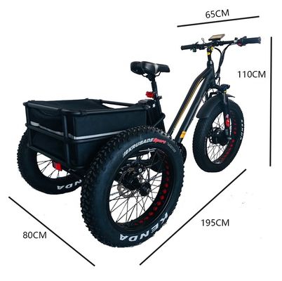 Big Power 48V 13AH 750W 45KM/H UL2849 Bafang Front Motor Elektrische vetband driewieler 20