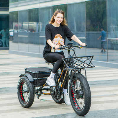 Big Power 48V 13AH 750W 45KM/H UL2849 Bafang Front Motor Elektrische vetband driewieler 20
