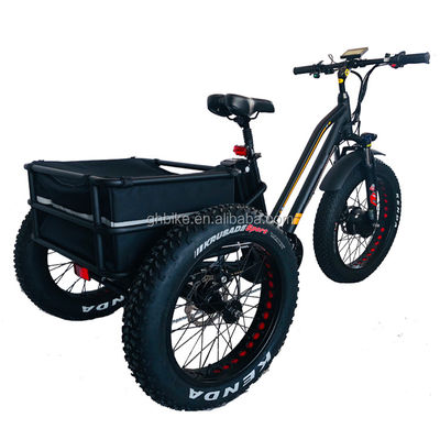 USA 24&quot;20&quot; gemotoriseerde Bafang 8fun 750W 48V 17a Volwassenen 3 wielen Cargo Ebike Elektrische driewieler