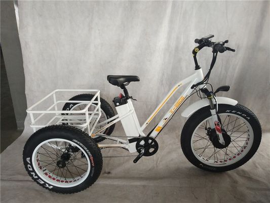 USA 24&quot;20&quot; gemotoriseerde Bafang 8fun 750W 48V 17a Volwassenen 3 wielen Cargo Ebike Elektrische driewieler