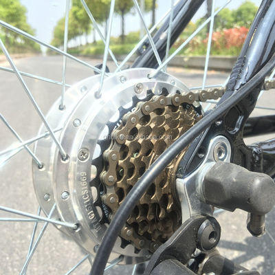 Verborgen batterij Elektrische bergfiets met staalvork en 21 versnellingsbakken