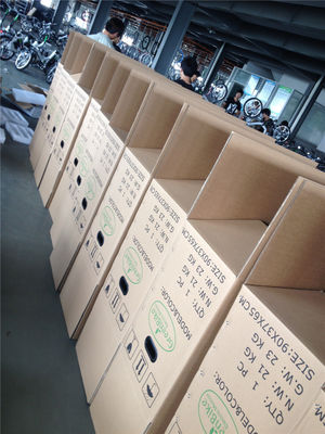 Opvouwbare elektrische fiets voor Israël Groene fiets 350W Mag Wheel 36V Spanning 7 Speed Gears