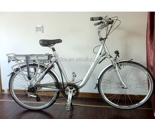 Achterhoekmotor 700C EN15194 Europa CE 36V 250W 20KM/H Vrouwen Nederlandse Dames Elektrofiets