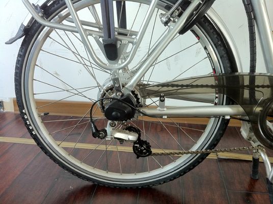 Achterhoekmotor 700C EN15194 Europa CE 36V 250W 20KM/H Vrouwen Nederlandse Dames Elektrofiets