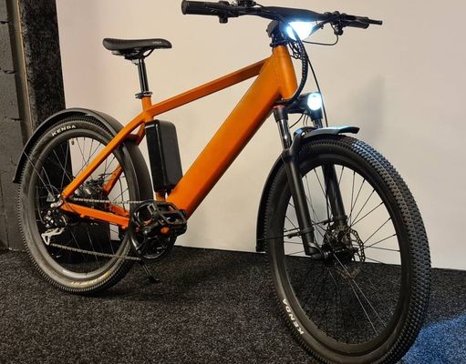 1000W 48V 14AH verborgen batterij verborgen E-MTB lcd display elektrische mountainbike voor uw