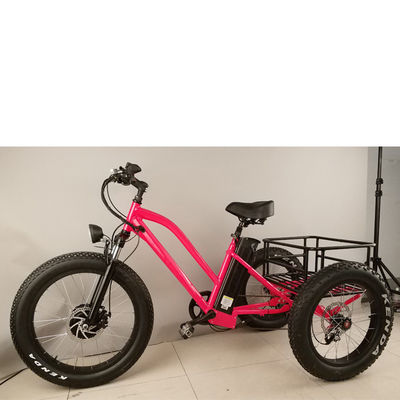 500W Cargo Volwassenen 3 Wiel Elektrische Fiets met Fat Aluminium Rim en EN71 Certificaat