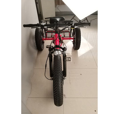 500W Cargo Volwassenen 3 Wiel Elektrische Fiets met Fat Aluminium Rim en EN71 Certificaat