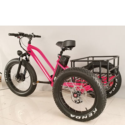 500W Cargo Volwassenen 3 Wiel Elektrische Fiets met Fat Aluminium Rim en EN71 Certificaat