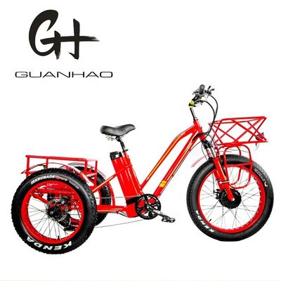 750W voormotor 4.0 band sneeuw EN15194 Cargo elektrische vracht driewieler met schijfrem