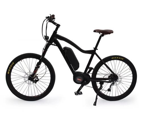 36V 250W 17Ah Middel Elektrische Motor Unisex City Elektrische Fiets voor Slimme Rijders