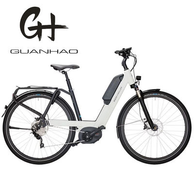36V 250W 17Ah Middel Elektrische Motor Unisex City Elektrische Fiets voor Slimme Rijders