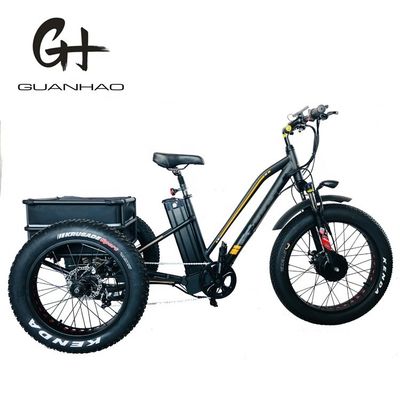 750W voormotor 4.0 band sneeuw EN15194 Cargo elektrische vracht driewieler met schijfrem
