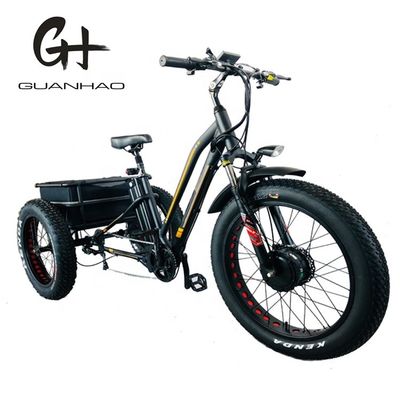 750W voormotor 4.0 band sneeuw EN15194 Cargo elektrische vracht driewieler met schijfrem