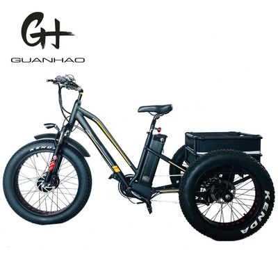 750W voormotor 4.0 band sneeuw EN15194 Cargo elektrische vracht driewieler met schijfrem