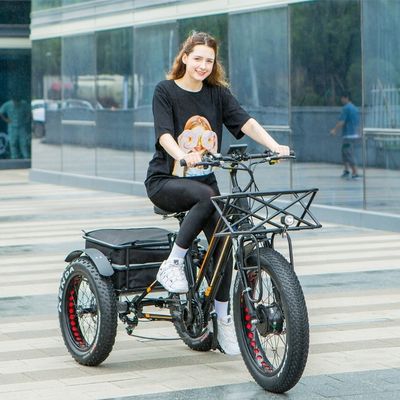 750W voormotor 4.0 band sneeuw EN15194 Cargo elektrische vracht driewieler met schijfrem
