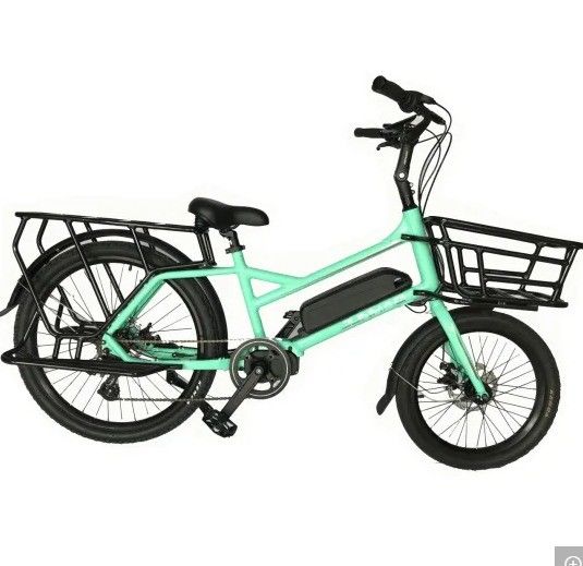 Familie of vracht elektrische fiets met dubbele dichtheid grepen en aluminium vork van Ananda Bafang