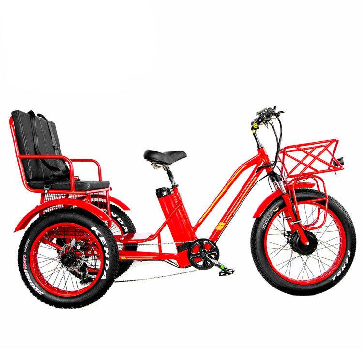Front Hub Motor 750W 21AH Lithium elektrische driewieler voor 2 personen 24&quot; sneeuwband 40KM/H