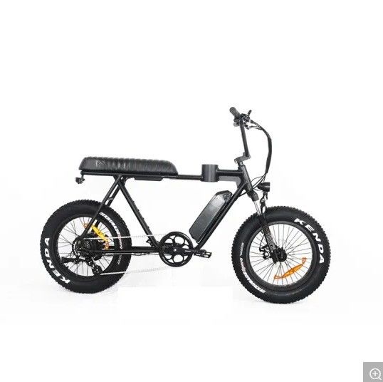 Magnesium frame 2020 20 inch dikke band elektrische fiets sneeuw strand cruiser EL-DN2011Z