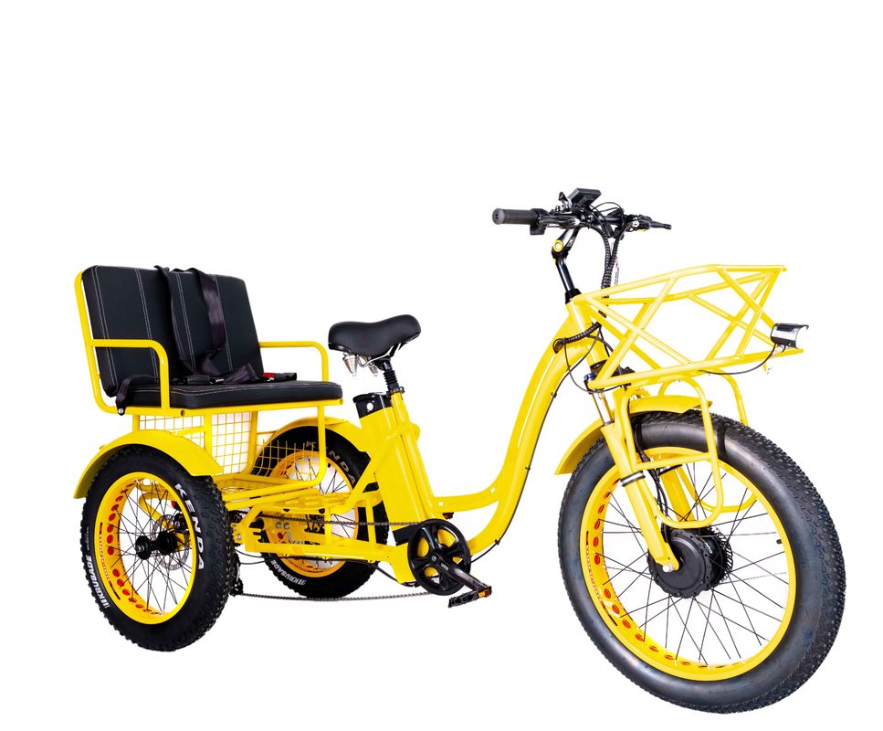 Elektrische rickshaw 750W Front BaFang Motor 21AH Lithiumbatterij 60KM USA Volwassen 24&quot; Fat Snow Big band Passagiersstoel