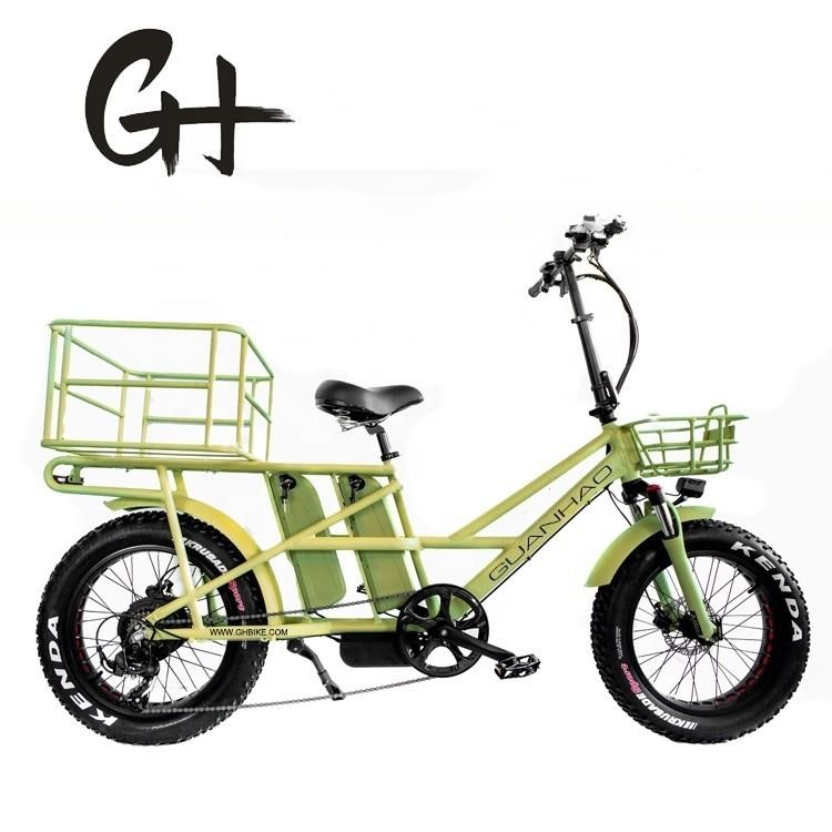 48V schijfrem Dual batterijen Fat Snow Big Tire Elektrische vrachtfietsen voor gezin 2