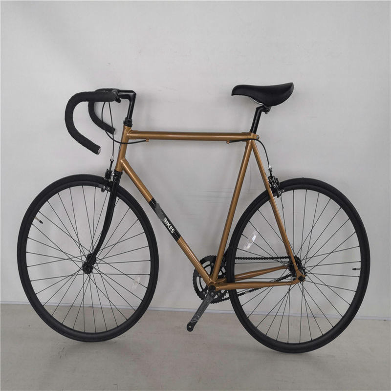 Chromoly Frame 700C Vintage Fixie Bike met dubbele V rembelasting tot 150 kg