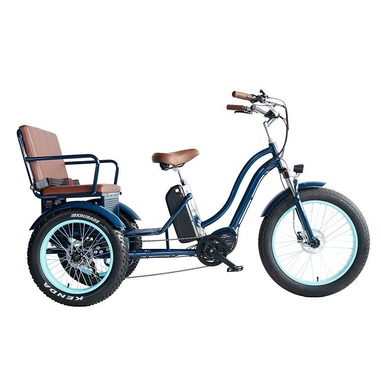 Elektrische riksja met 48V 750W 17AH Lithiumbatterie en Big Fat Tire
