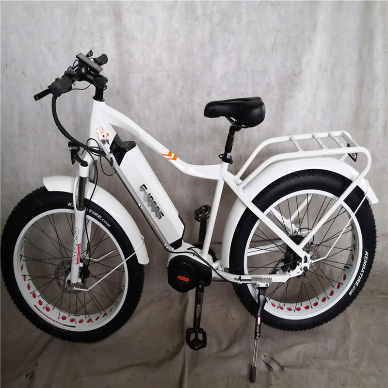 1000W Bafang Mid Drive Motor Alloy Achterdrager Centrale Elektrische Fiets met Standaarden