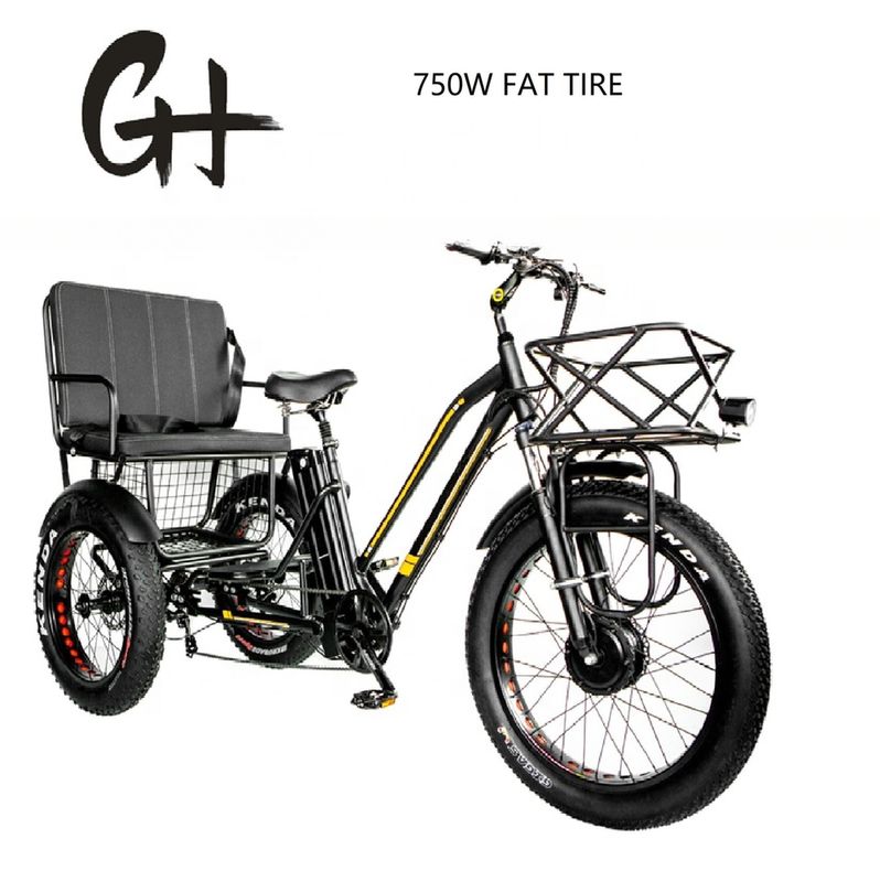 Bafang 750W motor elektrische driewieler met vetband E Drie wielen en passagiersstoel