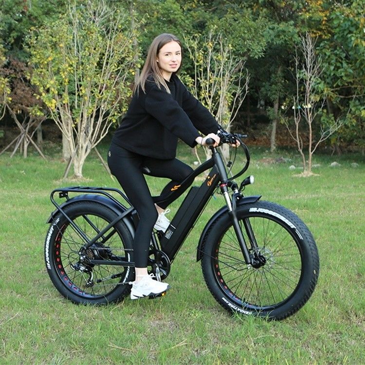 48V 1000W 17AH Lithiumbatterij OEM EN15194 CE Op maat gemaakte elektrische MTB Mountain Fat Tire Bike