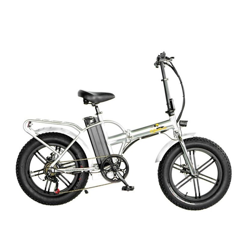 750W 1000W 48V dikke band 4,0" vouwbare zilveren frame 5 spaken elektrische vouwfiets 20 inch