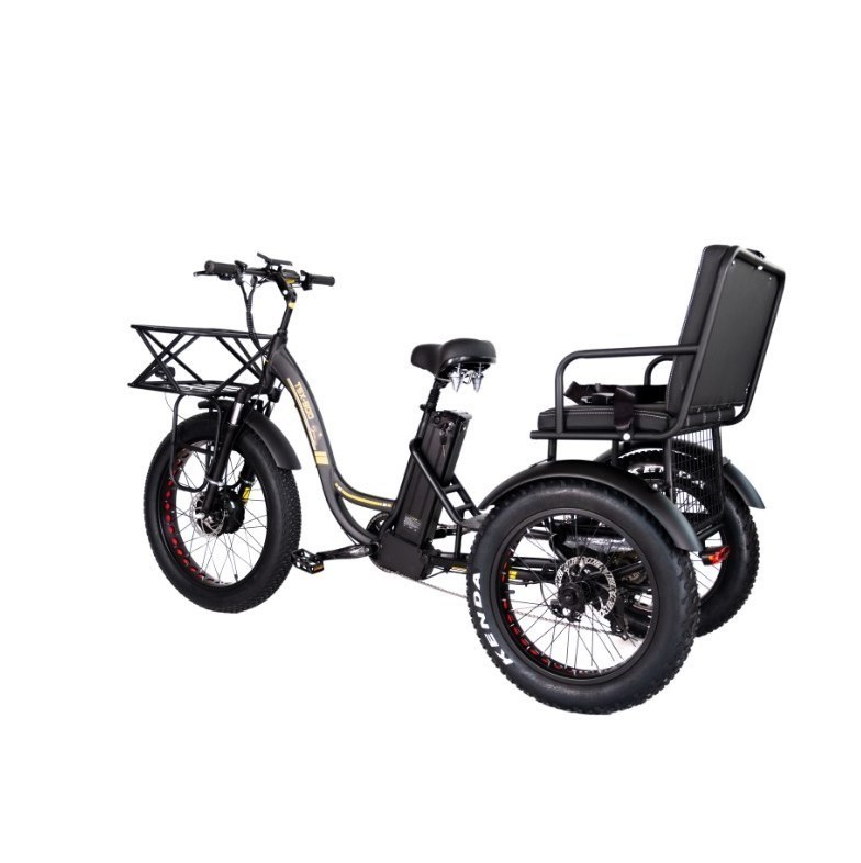 Elektrische fiets rickshaw taxi met 48V 1000W motor Bafang Crank en Kenda 24*4.0 band