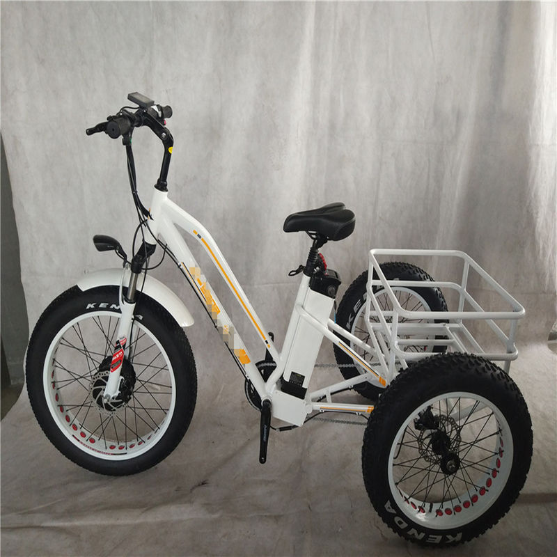 750W elektrische fiets 3 wielen volwassen vetband E trike vrachtkoppel 70-80 Nm schijfremmen