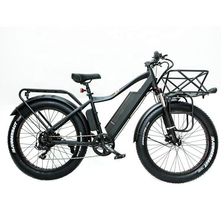 52V 1000W Bafang Motor 17AH Lithium 55KM/H Achterste Hub Sneeuw Vetband Berg Elektrische Fiets