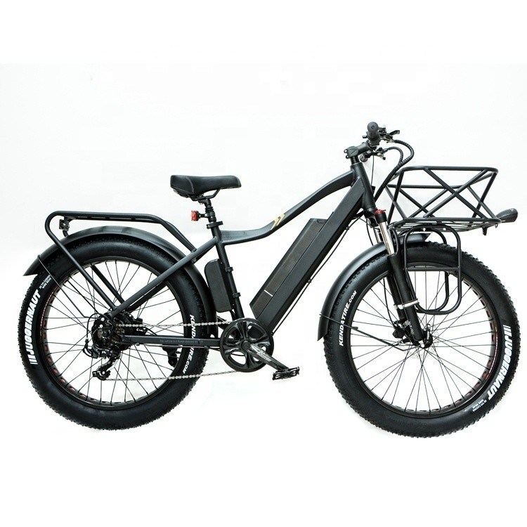 26" 4.0 Big Fat Snow Tire 1000W 48V 21AH Lithiumbatterij Elektrische fiets voor de Amerikaanse markt