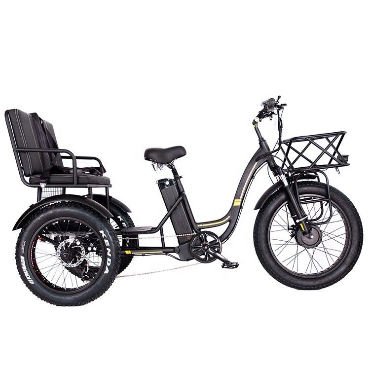 Lichtgewicht aluminium frame elektrische driewieler 48V 750W 21AH 50KM/H voor volwassen passagier