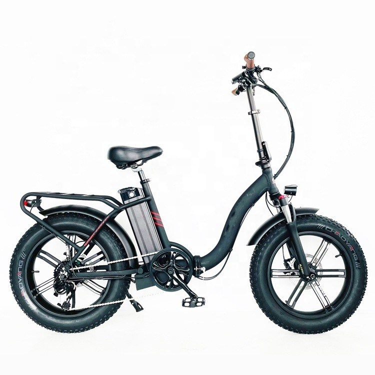 CE goedgekeurde 48V 10,4AH elektrische vouwfiets met 750W motor en topsnelheid van 50KM/H