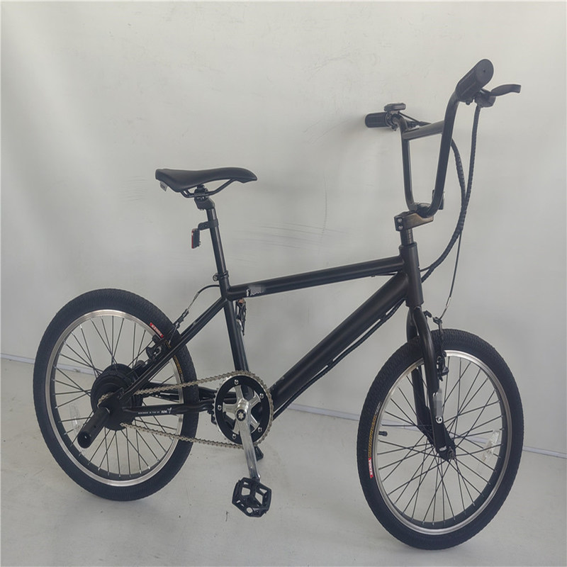 KT Controller 2024 250W 24V 10.4 A PAS Single Speed Electric Bike met verborgen batterij