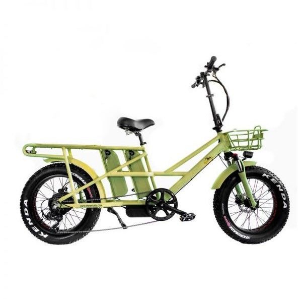48V elektrische dubbele motor 1000 Watt Long Range Fat Tire Cargo E-Bike met snel opladen